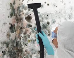 Best Comprehensive Air Testing for Mold Contaminants in Richmond, IN